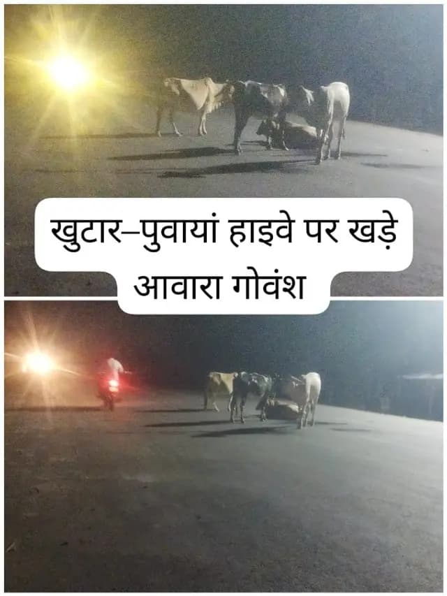 Shahjahanpur news : गोवंश के संरक्षण हेतु 661 लाख की लागत से बना गोकुल ग्राम,क्षेत्रीय आवारा गोवंशियों को भी नहीं दे पा रहा संरक्षण