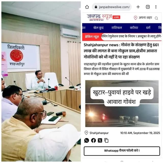 Shahjahanpur news : आवारा गोवंश को लेकर जिलाधिकारी सख्त,हाइवे पर दिखे गौवंश तो संबंधित खंड विकास अधिकारी पर होगी कार्रवाई: डी एम