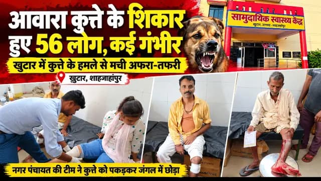Shahjahanpur news : आवारा कुत्ते के शिकार हुए 56 लोग, कई गंभीर